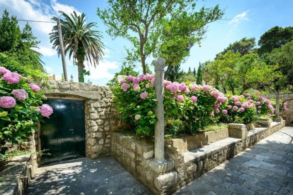 Ferienwohnung The Soldo'S Dubrovnik Exterior foto